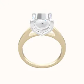 Cathedral Engagement Ring With Double Pave V Prong Head
