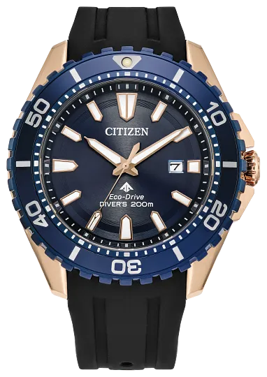 Citizen Eco-Drive Promaster Dive
