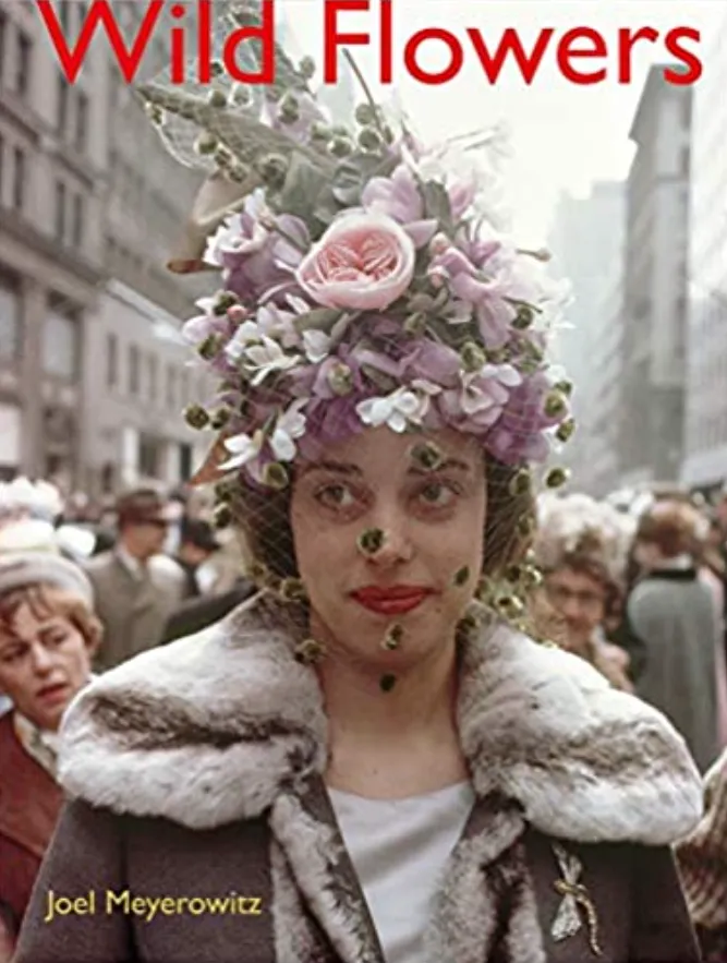 Joel Meyerowitz: Wild Flowers, Limited Edition