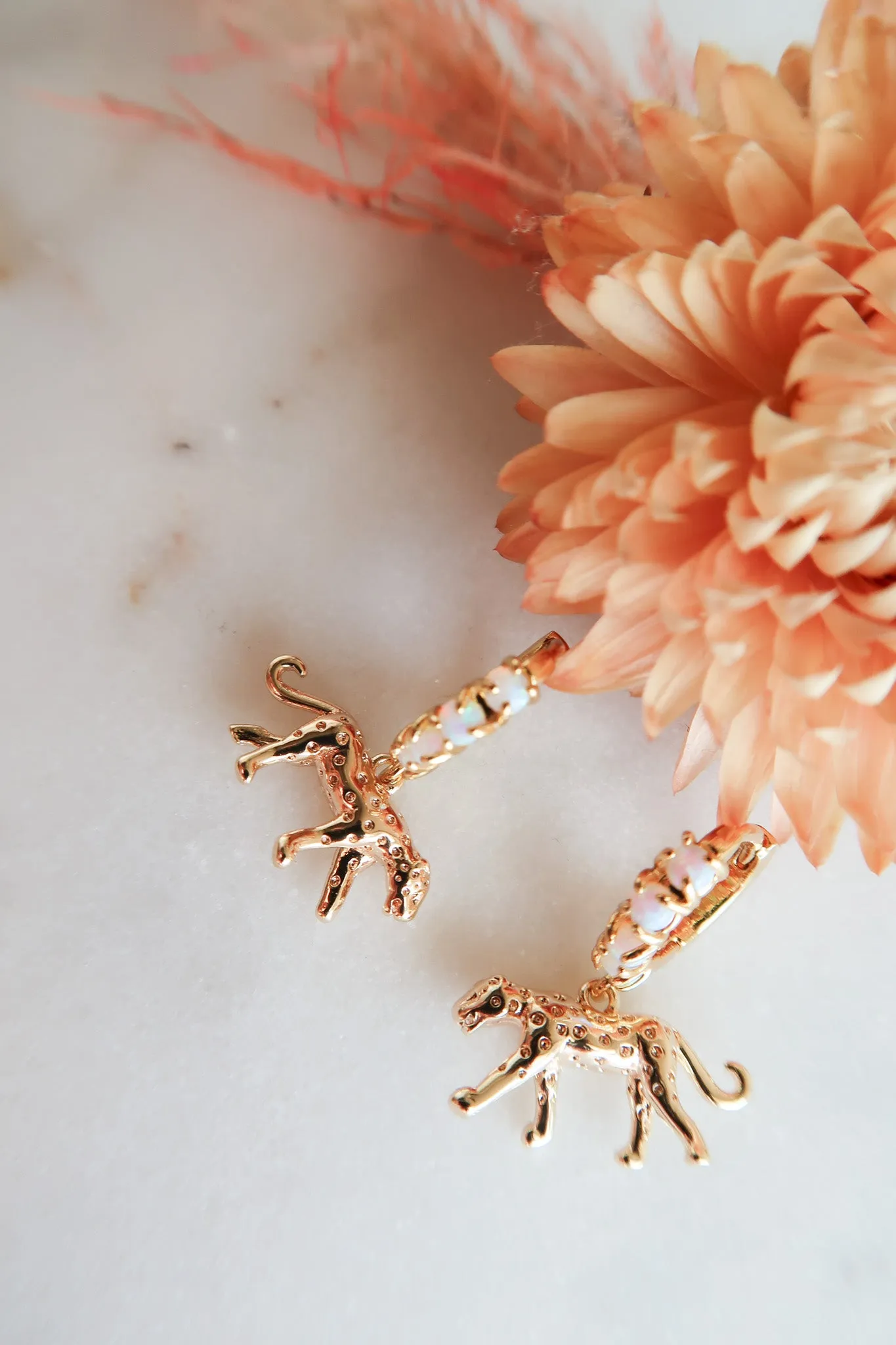 Leopard | Animal Spirit