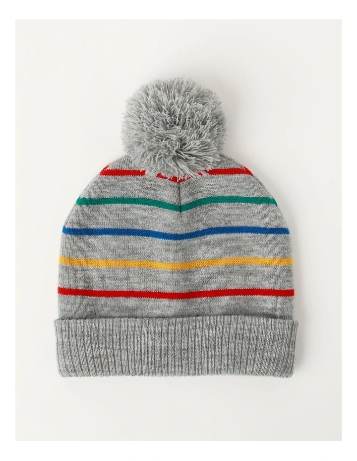 Stripe Beanie in Assorted